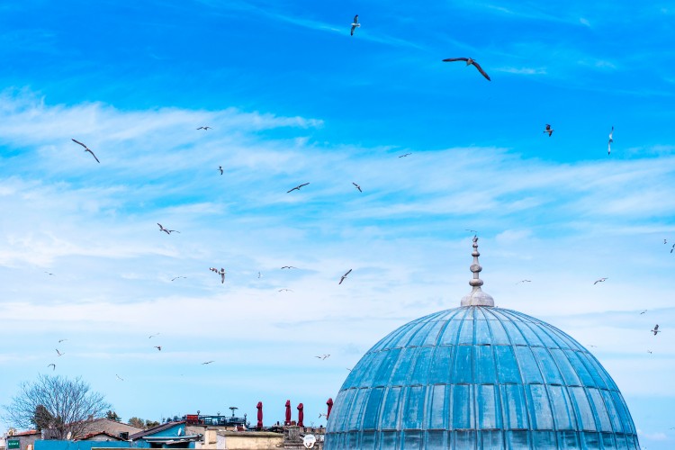 birds-flying-in-the-blue-sky